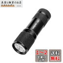 Lepro ブラックライト led uvライト 紫外線ライト UVライト レジン用 硬化ライト 紫外線 ライト IPX4防水 アルミ製 高耐久 ハンディ ブラッ...