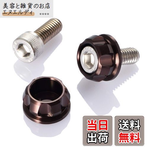 デイトナ(Daytona) PREMIUM ZONE(プレミアムゾーン) バイク用 ナンバープレート ボルト M6×15mm ホルダーセット 2個入り ブロンズ 91954