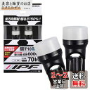 IPF ポジションランプ LED 車用 T10 70lm 6000K ホワイト 12V用 2本入 車検対応 拡散材配合レンズ採用 日本製 104W
