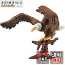 タカラトミー アニア AS-05 ワシ (ハクトウワシ) 動物 恐竜 おもちゃ 3歳以上