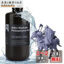 ELEGOO 光造形3Dプリンター用 水洗いレジン UVレジン 405nm 水洗い樹脂 1000g 光硬化可能樹脂 LCD 3Dプリンター向け(セラミックグレー...