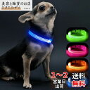 Visinite LED光る首輪, 小型犬 散歩 ライトUSB充電式, 子犬や猫に適した調節可能な長さ, 軽量, 暗い犬 首輪 光る300m先から目視可能, 犬...
