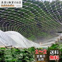 ONESORA ベランダ鳥よけネット 防鳥ネット 防鳥網 10×10m 取り付けインシュロック付属 カラス避け 鳩避け 鳥避け 猫脱走防止 野良猫侵入防止 テグ...