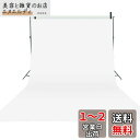 Qinunipoto 背景布 白 無地 背景 2x3m 背景シート バックスクリーン バーチャル背景 白い布 ホワイト バック紙 商品撮影 撮影用背景 クロマキー合成 透けない 無反射 テレワーク リモート背景用 スタジオ背景 SNS写真 肖像画 ポリエステル製(2)