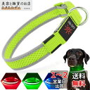 PZRLit 光る首輪 犬 散歩 夜 ライト LED 超明るい USB充電式, サイズ調整可能 ペット 犬 光る首輪 安全反射光 夜 ペット首輪 軽量 小型犬 中型犬 大型犬, 緑, S