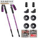 Glvaner トレッキングポール 2本セット トレッキングステッキ 登山 ストック アンチショック機能付 6061アルミ製 軽量300g 3段伸縮式 ウォーキ...