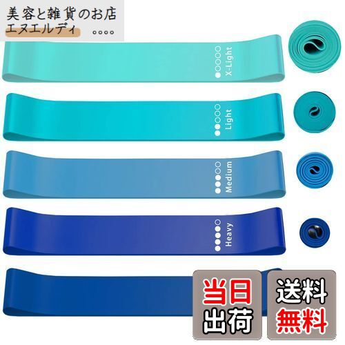 roseddy トレーニングチューブ ゴムバンド 筋トレ ゴムチューブ 天然ラテックス ゴムバンド チューブ トレーニング 5本セット 自宅 筋トレ ゴム バンド 美尻 トレーニングバンド リハビリ ゴムバンド ストレッチバンド(青) roseddy トレーニングチューブ ゴムバンド 筋トレ ゴムチューブ 天然ラテックス ゴムバンド チューブ トレーニング 5本セット 自宅 筋トレ ゴム バンド 美尻 トレーニングバンド リハビリ ゴムバンド ストレッチバンド(青)