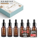 スポイトボトル 20ml 6本セット 茶色遮光瓶 ガラス スポイト瓶 目盛り付き アロマ保存容器 小分け 液体試薬ピペットボトル 為に エッセンシャルオイル、化...