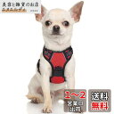 Rabbitgoo 犬 ハーネス小型犬 5-15KG ソフト かわいい 犬用胴輪 引っ張り防止 負担が少ない首輪 サイズ調整可 夜間反射 抜けない 通気性 咳き込み防止 散歩 歩行補助 老犬介護 しつけ 運動向き 犬 中型犬 大型犬 柴犬 秋田犬(レッド XS)