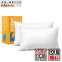Otostar クッション 中身 30x50cm 2個セット ヌードクッション 柔らかい ふわふわ フワフワ 長方形 ロング インナー なかみ 中材 本体 ファ...