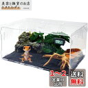 Niesporek 爬虫類 トカゲ ケージ カナヘビ飼育ケース レプタイルボックス 温度湿度計付き 飼育容器アクリル 給餌箱 透明 通気ケージ 昆虫飼育ケース 給餌ケージ 換気が良い 爬虫類テラリウムタンク 亀 ヤモリ 蜘蛛 サソリハリネズミ カエル 小型ヘビなど動物?用(30*20*