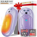 2パック電気カイロ 充電式カイロ 薄型 軽量 かわいい 電子ハンドウォーマー 防寒対策 アウトドアスポーツ、キャンプ、狩猟用の新年とクリスマスギフト