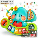 REMOKING 多機能 ピアノおもちゃぞうさんピアノ 知育 玩具 早期開発 指先訓練 聴覚発達 色認知 モンテッソーリ 玩具 6ヶ月以上 乳幼児 ミュージック...