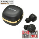 オーム(OHM) ワイヤレスイヤホン Bluetooth 無線 AudioComm 完全ワイヤレスイヤホン 防水 ブラック HP-W430N-K 03-2888 オーム電機