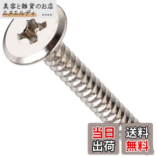 ダイドーハント(DAIDOHANT) 超低頭 タッピング ねじ [木材・薄鋼板用] 鉄・ニッケル めっき (呼び径d)3mm x (長さL)25mm (入数:12本) 10179188