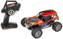 RC1/16スケール マッドスタイルシリーズ リザード