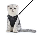 Rabbitgoo 猫 ハーネス リード セット 小型犬 犬猫兼用 抜けない はーねす ソフト胸あて 軽量 足を上げず装着完成 サイズ調節可 ネコ 散歩 紐 夜...