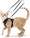 Rabbitgoo 猫 ハーネス リード セット 小型犬 犬猫兼用 抜けない はーねす ソフト胸あて 軽量 足を上げず装着完成 サイズ調節可 ネコ 散歩 紐 夜...