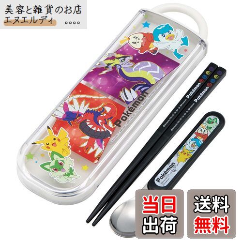 (Skater) Ȥ ס󥻥å  ݥåȥ󥹥 23N  CCA1AG-A