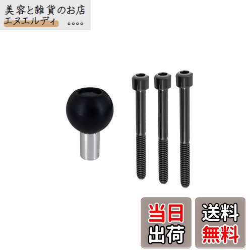 REC-MOUNT23ۥ١ ޥ (Cѡ) C9 M6ܥȥ١ [RM23-C9]