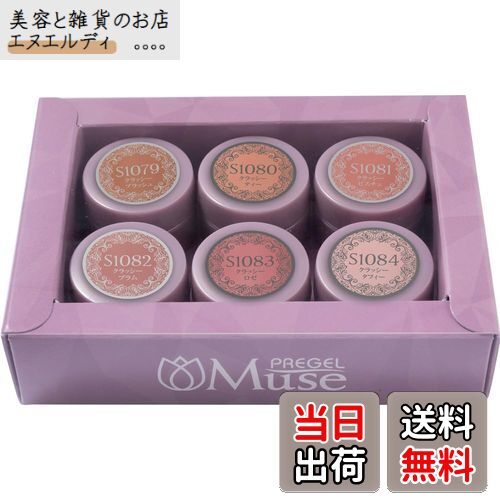 ̵PREGEL Muse å꡼ 6å ޥ顼3g6