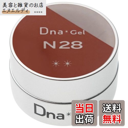 【送料無料】Dna Gel カラージェル N28 2.5g モミジ 色：ピンク