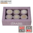 【送料無料】PREGEL Muse ベアシアースキンシリーズ 6色セット 色:マルチカラー