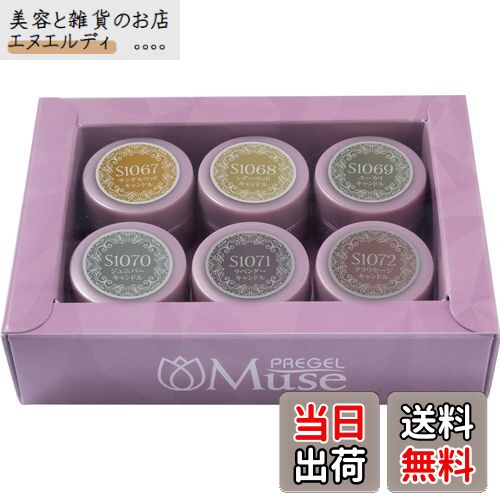 【送料無料】PREGEL Muse スモーキーキャンドルシリーズ 6色セット 色：マルチカラー、サイズ：3g×6