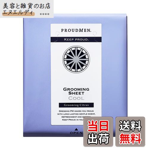 【送料無料】プラウドメン ボディシート メンズ グルーミングシート シリーズ サイズ：単品