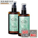 【送料無料】ヘアアブソリュ ボタニカルラスタオイル(100ml /約3か月分/スタイリングヘアオイル) 洗い流さない 濡れ髪 ウェットスタイル 日本製-pare 色:クリア、サイズ:100ml