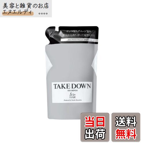 【送料無料】【公式】&be (アンドビー) シャンプー 色：テイクダウン、サイズ：詰め替え