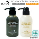 (セット) ロイド カラーシャンプー シルバー 300ml ＋カバー キープトリートメント 300ml (送料無料)