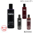 【4月限定★最大100%ポイントバック!要エントリー】フィヨーレ クオルシア カラーシャンプー 250ml 選べる各種 (送料無料)