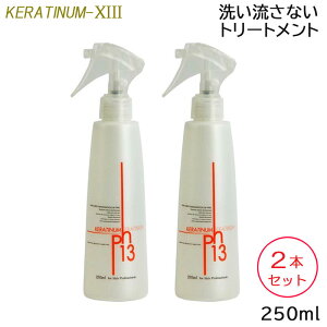 (2本セット) ケラチナムサーティーン 13 プロ 250ml スプレーボトル 洗い流さないトリートメント アウトバス ダメージケア サロン専売品 美容室 ケラチン ヘアケア (送料無料) あす楽