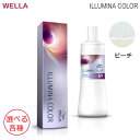 (1剤2剤セット) ウェラ イルミナカラー 80g 業務用 ヘアカラー 1剤 ビーチ & イルミナクリームディベロッパーオキシ 1000ml 選べる 各種 (送料無料)