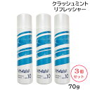 (3個セット) DEMI デミ サマーバー クラッシュミントリフレッシャー 【クール10】 70g
