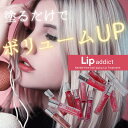 【マラソン期間★当店全商品P5倍!要エントリー】リップアディクト 7ml lip addict ISKIN (ゆうパケット送料無料)口紅 (ss202312) 2