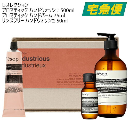 【東京都から発送】Aesop ギフトセット [イソップ アンドラム ポンプ付き クリスマスコフレ ハンドウォッシュ バーム ハンドケア 手先 指 爪 ネイル 植物由来成分 ナチュラルコスメ 自然派 正規品 プレゼント]