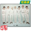 【東京都から発送】【防弾少年団】VT×BTS コラボ ポスター 51cm×74cm 韓国 K-POP アイドル インテリア 推し活 並行輸入品