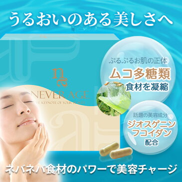【店内全品 割引クーポンあり】NEVER AGE(ネバーエイジ) 1箱
