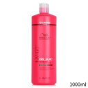 EG Vv[ Wella Invigo Brilliance Color Protection Shampoo - # Coarse 1000ml wAPA av[g Mtg lC uh RX