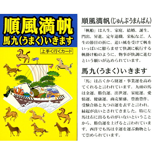 九頭馬水晶・カラフル宝石ストラップ＜上手く行くカード付き＞ 【開運グッズ　ファッション　お守り　アクセサリー】 beautymate-10150152 ビューティーメイト サンプル画像3