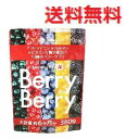 【メール便配送・代引き不可】ベリーベリー 【healthylife ベリーベリー Berry Berry ヘルシーライフ　美容サプリメント　健康食品】