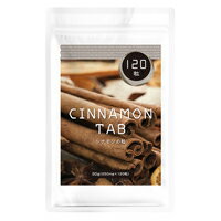 【メール便可能（12点まで）】シナモンの粒 【CINNAMON tab 旧名：シナモンの錠剤 ダイエットサプリメント 健康食品】