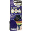 【メール便可能(8点まで)】DHC Q10美容液 クイック白髪かくし ダークブラウン 4.5g 【DHC 瞬間白髪かくし 白髪隠し 白髪対策 ヘアケア 美容】