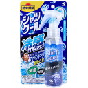熱中対策 シャツクール 冷感ストロング 100mL 【小林製薬 除菌 消臭 ひんやりグッズ 冷感スプレー 冷却グッズ 暑さ対策 衣類用スプレー 熱中対策】(4)