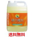 緑の魔女 バス用洗剤 業務用 5L 【浴室用洗剤 液体風呂用洗剤 浴槽 環境浄化 バイオ 洗浄力 排水パイプ パイプクリーナー】