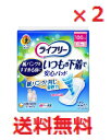 【2個セット】ライフリー いつもの下着で安心パッド 100cc 22枚入 【ユニチャーム　ユニ・チャーム　介護用品　医療費控除対象品　尿漏れ対策　尿モレ対策　失禁対策】