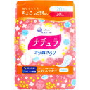 エリエール ナチュラ さら肌さらり よれスッキリ吸水ナプキン 20.5cm 30cc 24枚入 【軽失禁パッド 尿失禁対策 衛生用品 介護用品 尿取りパッド 尿とりパッド】
