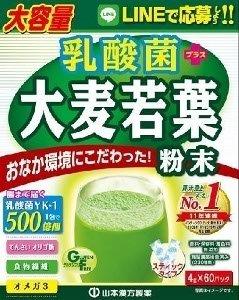 乳酸菌大麦若葉粉末 4g×60包　【山本漢方製薬　青汁　健康食品　サプリメント】(4)